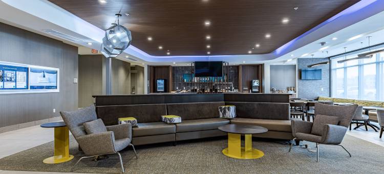 底特律斯特林海茨万豪SpringHill酒店(SpringHill Suites Detroit Sterling Heights)图片