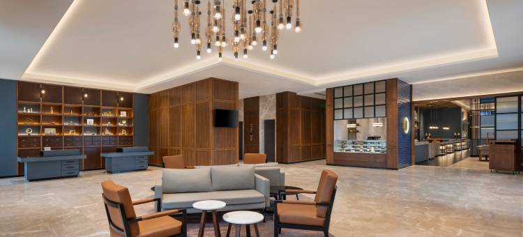 金奈福朋喜来登酒店，韦拉切里(Four Points by Sheraton Chennai, Velachery)图片