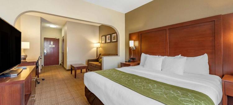 舒适套房酒店(Comfort Suites)图片