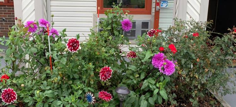 弗尔斯汽车旅馆(Falls Inn)图片