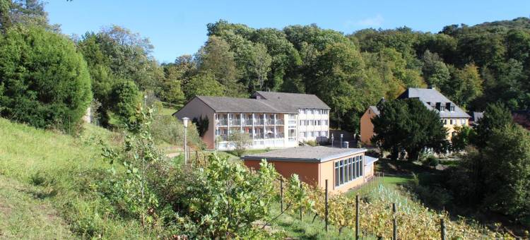 克尼格斯温特／伯恩JUFA酒店(Jufa Hotel Königswinter/Bonn)图片