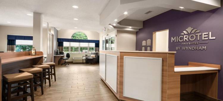 林奇堡温德姆麦客达套房酒店(Microtel Inn & Suites by Wyndham Lynchburg)图片
