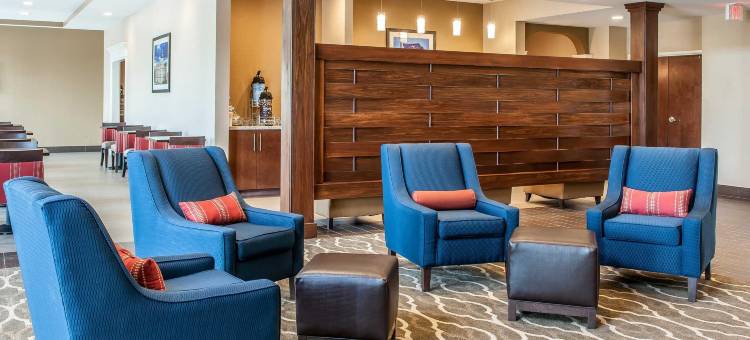 伦斯勒舒适套房酒店 - 近费尔奥克斯(Comfort Suites Rensselaer near Fair Oaks)图片