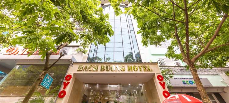 超级OYO Capital O 387白杨酒店(Super OYO Capital O 387 Bach Duong Hotel)图片