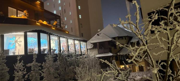 博罗瓦别墅健康水疗度假村(Vila Borova Wellness&SPA Resort)图片