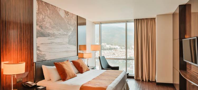 布卡拉曼加酋长假日酒店(Holiday Inn Bucaramanga Cacique)图片