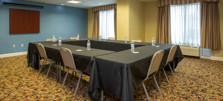 智选假日套房酒店里奇蒙(Holiday Inn Express & Suites Richmond)图片