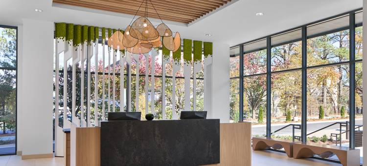 亚特兰大周边中心Element酒店(Element Atlanta Perimeter Center)图片