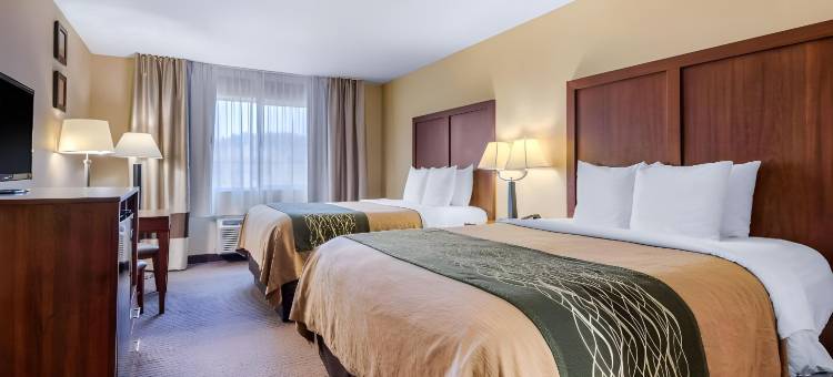 西雅图北部博塞尔舒适酒店(Comfort Inn & Suites Bothell – Seattle North)图片