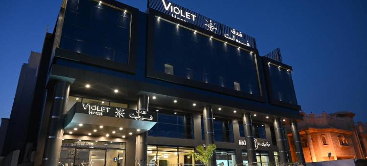 فندق فيوليت Violet Hotel图片