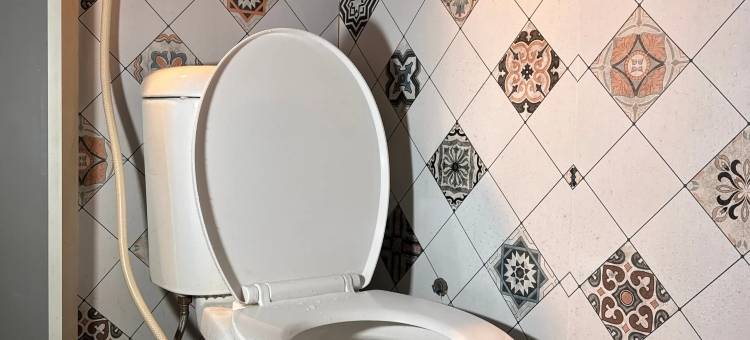 Omah Blado Resort图片