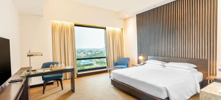 赖布尔Hyatt酒店(Hyatt Raipur)图片