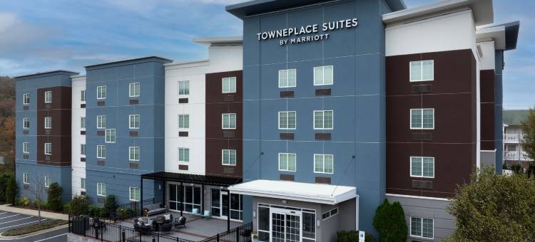 伯明翰南万豪TownePlace酒店(TownePlace Suites Birmingham South)图片