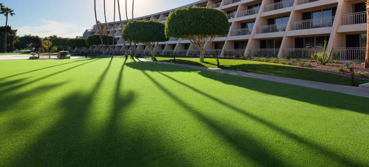 斯科特斯戴尔腓尼基酒店-豪华精选酒店成员(The Phoenician, a Luxury Collection Resort, Scottsdale)图片