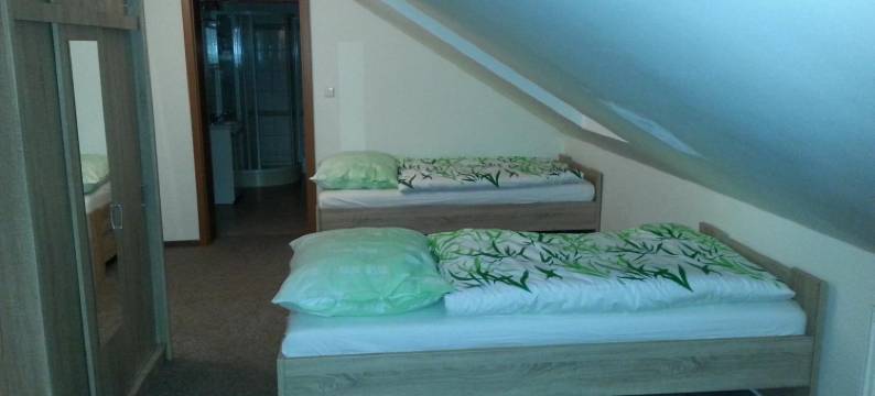 斯塔利赛德罗诺夫旅馆(Guest House Stary Sedlonov)图片