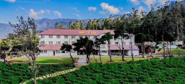 茶叶体验工厂酒店(Tea and Experience Factory - Thema Collection)图片