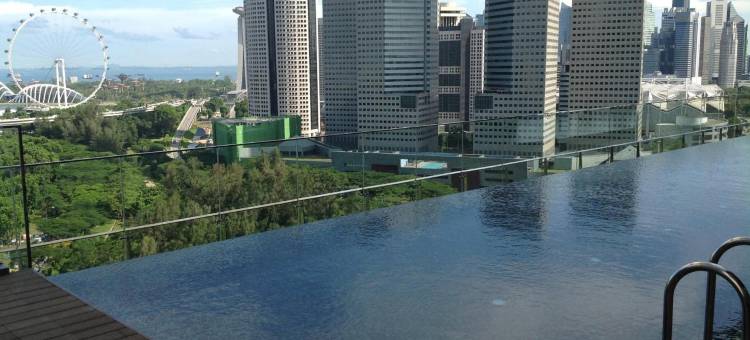 新加坡美芝路泛太平洋高级服务套房酒店式公寓(Pan Pacific Serviced Suites Beach Road, Singapore)图片