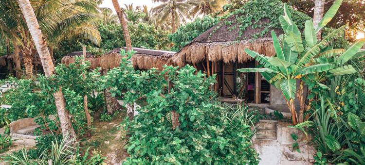 ShakaBrah beach hostel图片