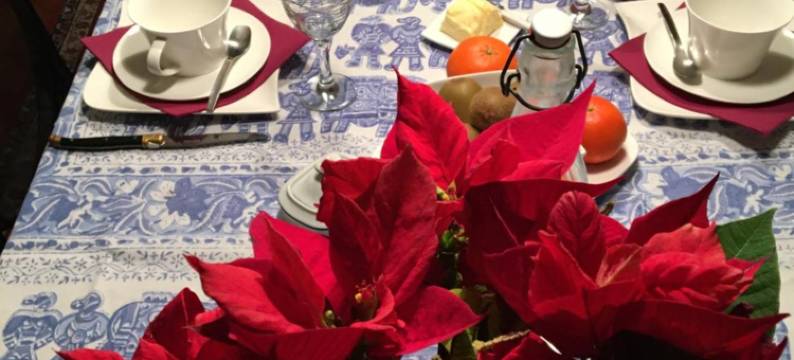 圣布里克克洛斯酒店(Le Clos Saint-Brice)图片