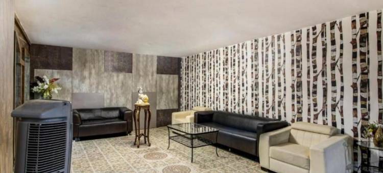 Treebo 斯里科(Treebo Srico, Banjara Hills)图片