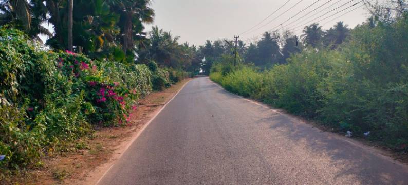 四季旅馆(Four Seasons Guest House)图片