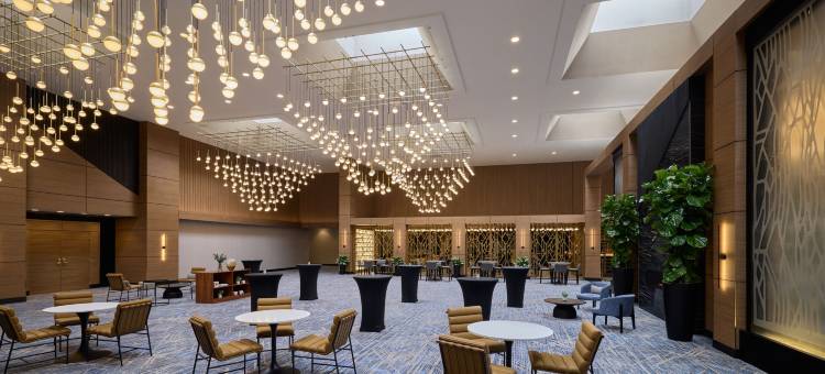 芝加哥西北万豪酒店(Chicago Marriott Northwest)图片