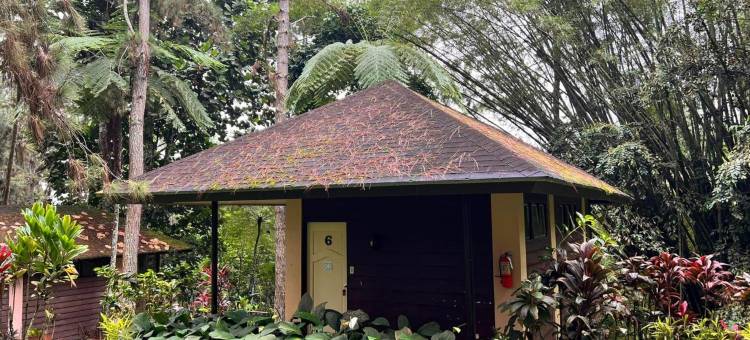 伊甸自然公园和度假村(Eden Nature Park and Resort)图片