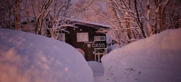 安努普利绿洲小屋(Annupuri Oasis Lodge)图片