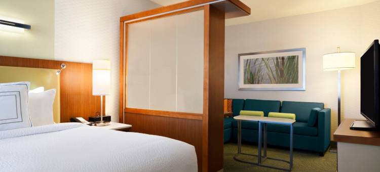 杰克逊北/理奇兰万豪SpringHill酒店(SpringHill Suites Jackson Ridgeland/The Township at Colony Park)图片