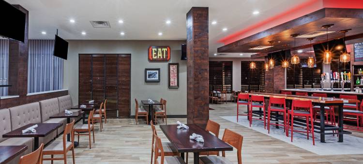 拉伯克南假日酒店(Holiday Inn Lubbock South)图片