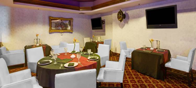 霍桑洛杉矶国际机场华美达酒店(Ramada by Wyndham Hawthorne LAX / LA Stadium)图片