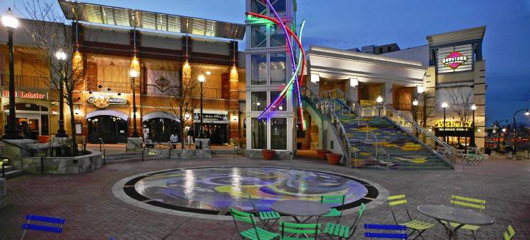 智选假日酒店-华盛顿特区北/银泉(Holiday Inn Express Washington DC N-Silver Spring)图片