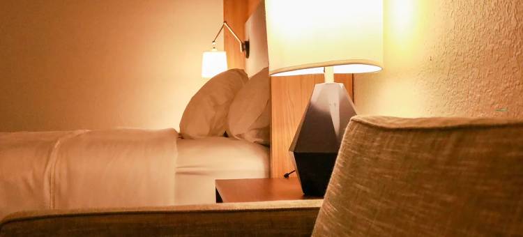 Wyndham Flint MI/Grand Blanc/Bishop Airport/Conference Ctr图片