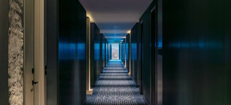 纳什维尔W酒店(W Nashville)图片