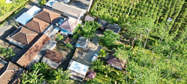 美庐贝提丽冒险民宿(Adventure Turtle Homestay Meru Betiri)图片