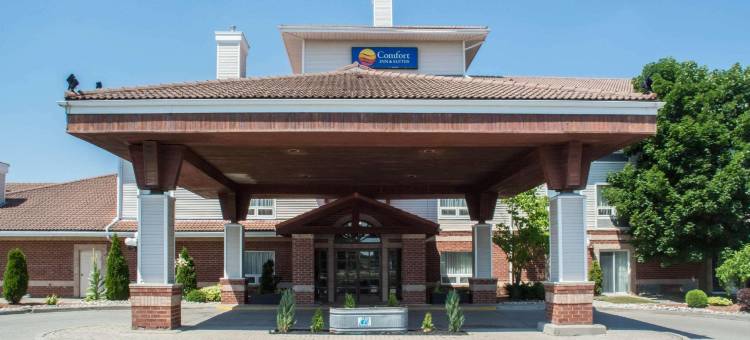 舒适套房酒店(Comfort Inn & Suites)图片