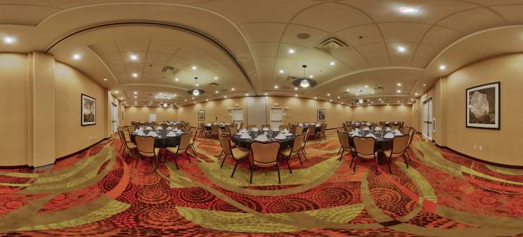 Holiday Inn 罗斯威尔(Holiday Inn ROSWELL by IHG)图片