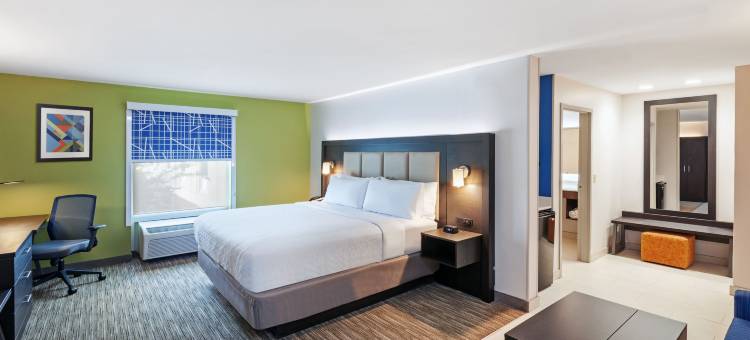 智选假日套房酒店巴吞鲁日东(Holiday Inn Express & Suites Baton Rouge East)图片