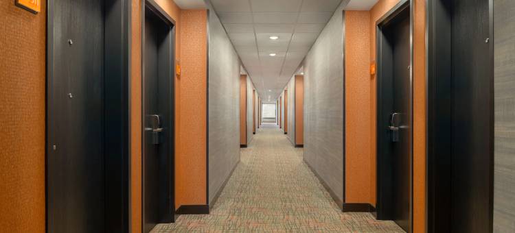 圣路易斯66号公路拉昆塔温德姆套房酒店(La Quinta Inn & Suites by Wyndham St Louis Route 66)图片