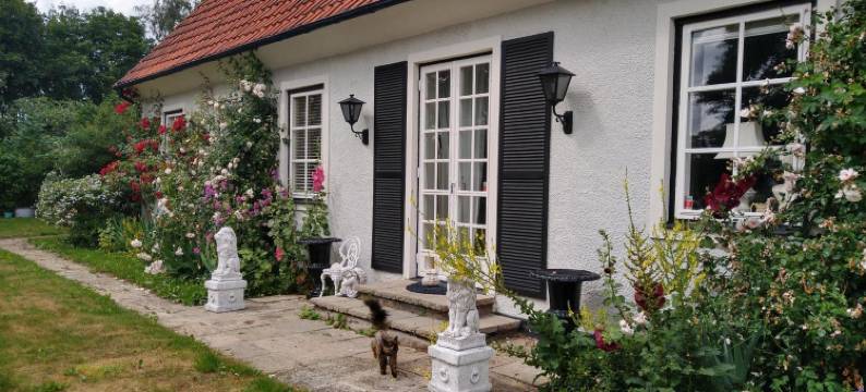 西格内道尔别墅青年旅舍(Villa Signedal Hostel)图片