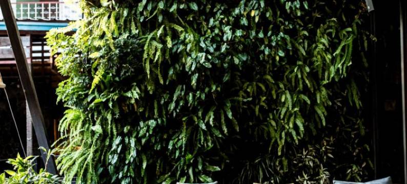 仰光G酒店(Hotel G Yangon)图片