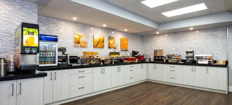 舒适酒店(Comfort Hotel)图片