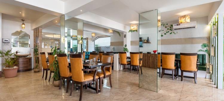 Treebo Sunheads图片