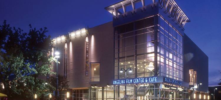 达拉斯/普莱诺莱格西镇中心万豪酒店(Dallas/Plano Marriott at Legacy Town Center)图片