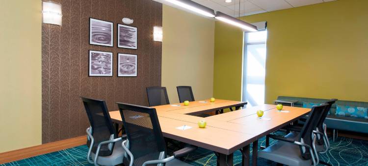 SpringHill Suites Houston Sugar Land图片