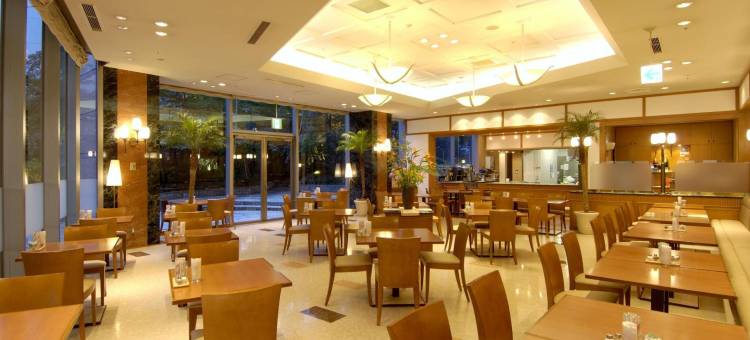东京两国第ー酒店(Dai-Ichi Hotel Ryogoku)图片