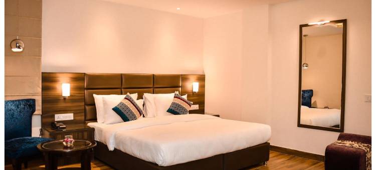 坎普尔市中心酒店(The Downtown)图片