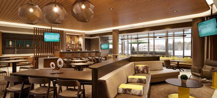 阿伦敦伯利恒森特瓦利SpringHill Suites酒店(SpringHill Suites Allentown Bethlehem/Center Valley)图片