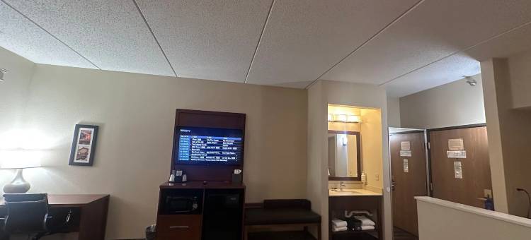 匹兹堡/西米夫林蔚景温德姆酒店(Wingate by Wyndham Pittsburgh/West Mifflin)图片