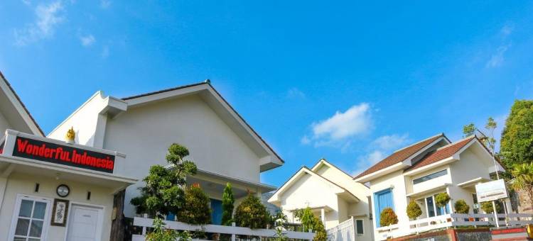 鲁马布罗莫度假屋(Villa Rumah Bromo)图片